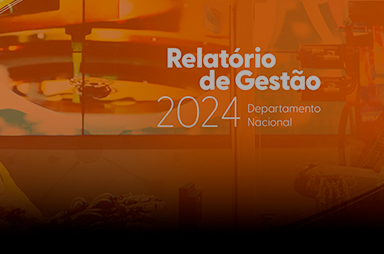 Imagem do Card do Relatório de Gestão 2024